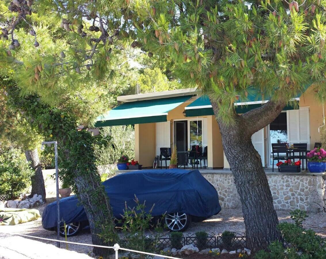 Apartments Mare More Brodarica  Exterior foto